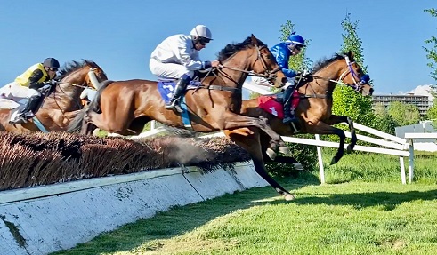 ITALIA. Merano, primo atto del super week questo sabato con la Gran Corsa Siepi d’Italia e il Criterium di Primavera. Sui 4000 del Gr1 super sfida fra il detentore del titolo Live Your Life, il rientrante Mauricius e il ceco Skins Rock. Nella prova per i 4 anni, Isatis De L’Ecu sfida nuovamente l’imbattuto Machinos, in agguato Ches Demonmirail