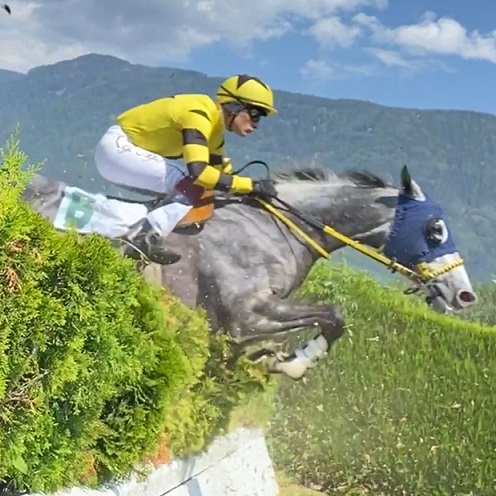 ITALIA. Merano, quattro le prove in ostacoli. Nella maiden per tre anni da seguire con interesse Ange Pitou e War Brave, Nizami cerca la replica in apertura, rivincita Rajani nel Royal Mougins; Kapjahr e Bilbo attesi nello steeple