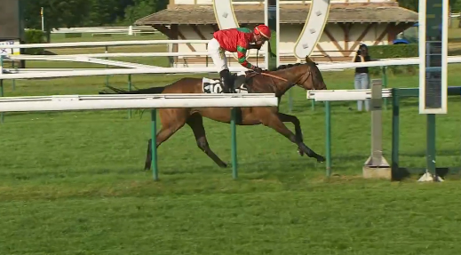 FRANCIA. Roberta Has ottimo primo piano a Compiègne. Nella ricca listed del Prix du Cher, l’allieva di Francois Nicolle si riprende con gli interessi ciò che aveva lasciato all’ultimo ostacolo nella ricomparsa stagionale ad Auteuil, battuta la coetanea Astadame, terzo il castrone Mot Pour Mot