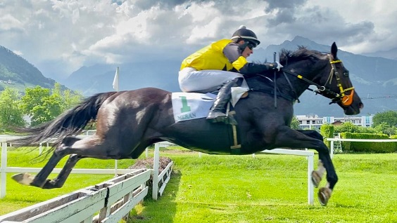 ITALIA. Secondo appuntamento a Merano. Si corre la esordienti del Prime Siepi, radio pista in coro dice Eternal Desire. Pietro Santoni in chiave Criterium con Costa Rica e Sopran Meneghino vs il ceco Red Coral, bello anche il Giorgi sulla strada del Roma