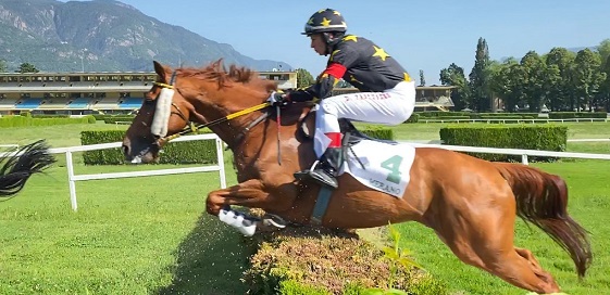 ITALIA. Merano, domenica di routine dopo il super week end del gran premio. Quattro le prove riservate ai saltatori, dove spiccano i memorial intitolati a Francesco Scaglione, Spegasso e Carlo Ferrari oltre ad Ernesto Loccatelli