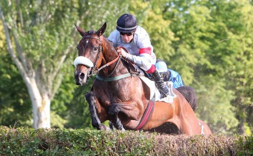 FRANCIA. Auteuil, Hacienda e Ludovic Philipperon in perfetto stile nel Prix Des Drags, battuti i compagni di allenamento La Danza e Road Mix Tavel. Nella Barka, Super Alex e Bertrand Lestrade piegano Colbert Du Berlais; nel Questarabad splendido volo di  Hermès de Chamdoux e Angelo Zuliani