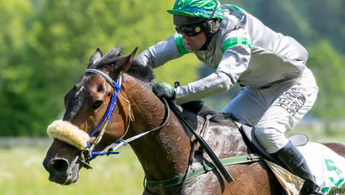 SVEZIA. Lo Svenskt Grand National Chase torna in Repubblica Ceca. Dopo il successo di Al Bustan nel 2017, Her Him ed Henrik Engblom vincono a Strömsholm precedendo gli outsider Three Is Company e French Warrior