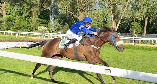 ITALIA. Charlotte Prichard grande protagonista nel sabato pomeriggio di Maia. La jockey francese vince il Criterium in sella al quattro anni Machinos, replicando nella Gran Corsa Siepi D’Italia interpretando il ceco Skins Rock; cade Mauricius, ci ha lasciato il campionissimo Live Your Life