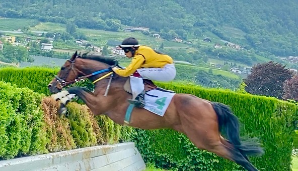 ITALIA. Domenica interlocutoria a Maia con tre prove riservate ai saltatori. Sky Costellation cerca risalto fra gli anziani in siepi, Hechisera Billy vs Favero e la temibile ospite Konigin Lucia fra i giovanissimi, sullo steeple del Foto Press la coppia Kpajahr – Andoins contro il lanciato Bornasco