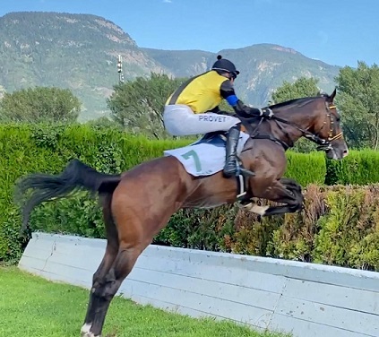 ITALIA. Domenica a Merano il tradizionale Vincenzo Pollio, primo step di avvicinamento al Piero e Franco Richard, dove Zio Reginaldo fa l’esordio sullo steeple chase, vs il polacco Ocean Life e la novità Apolonas. Periziata per anziani sulle siepi il Premio Imprezer