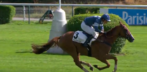 FRANCIA. Splendida e apertissima edizione della Grand Course de Haies Prix Guillaume D’Ornano, nel canonico appuntamento estivo di Clairefontaine sedici al via, con l’allievo di Francois Nicolle Elvis De Balme che tenta la replica dopo la vittoria nel trial del Vivaldi Jumping