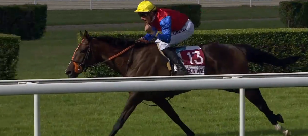 FRANCIA. A Clairefontaine una bella edizione del Prix Leopold D’Orsetti, test di preparazione al Grande Steepe Chase Ville de Deauville che ha messo in bella evidenza la femmina di David Cottin Motu Foreone, ottimamente interpretata da Dylan Ubeda. Seconda Beryl Baie avanti ad Anzorie e Derby Dété