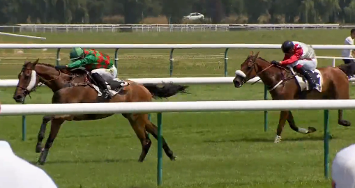 FRANCIA. Road Senam si toglie la qualifica di maiden nel Grand Steeple Chase de Dieppe. Il sei anni appartenente a Simon Munir e Isaac Souede allenato da Francois Nicolle, batte l’atteso My Way sotto la gestione perfetta da parte di Angelo Zuliani, terzo King Elvis