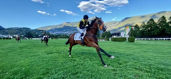 ITALIA. Nella due giorni di Merano spicca il neo Aichner Costa Rica. L’ex Cottin vince in bello stile il Bi Elle di Luca Bruschi e guarda al Gran Criterium. Alla domenica doppio giallo nero con Grand Sud, sabato gli svizzeri Manolo e Bornasco protagonisti, bene anche Arc En Ciel