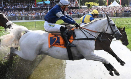 BELGIO. Attesa per il Grand Steeple Chase des Flandres Van Vlaanderen. Sui 4600 del circuito di Holstraat rivincita Quinton vs Nicolle, in pista quattro pedine per il mago di Waregem opposte al detentore della corsa Polinuit schierato dal champion trainer francese