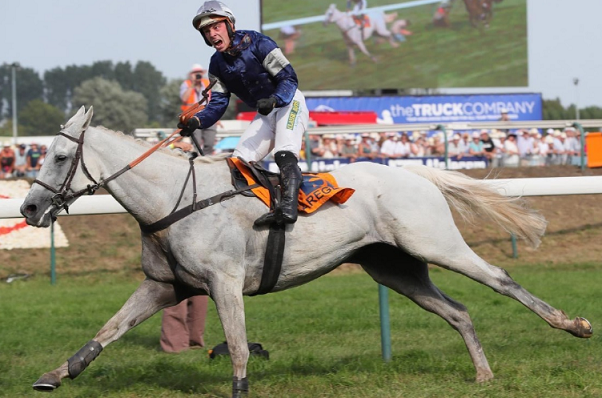 BELGIO. Il grigio Polinuit regala il primo successo a Francois Nicolle ed Angelo Zuliani nel Grand Steeple Chase des Flandres. A Waregem interrotta la memorabile serie di vittorie del mago Patrice Quinton, secondo al traguardo con la novità Premier Vert