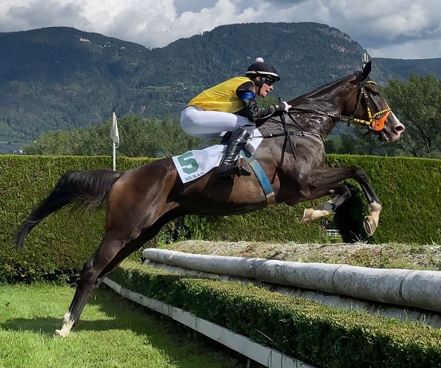 REPUBBLICA CECA. Santa Klara nella fossa dei leoni. A Pardubice la portacolori di Josef Aichner allenata da Pepi Vana, per tentare il secondo turno di qualificazione al Velka, vs un lotto di avversari di primissima fascia come Talent, Sacamiro e Player, giunti nell’ordine all’ultimo 6900 alle spalle del vincitore Mr Spex