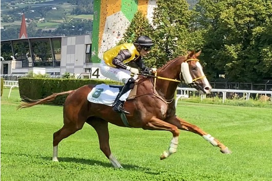 ITALIA. A Maia una domenica interlocutoria in attesa del super week end del Gp Merano. Fra i tre anni cerca la replica Sopran Mistery, Ole Caballero nel cross contro Persian Doll, White Wood e Silver Tango. Rajani atteso nella maiden, incerto l’ascendente per anziani