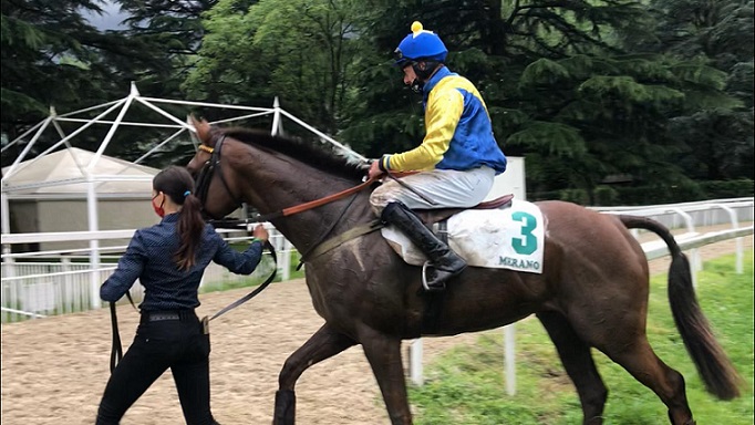 ITALIA. Super sunday a Maia con il Grande Steeple Chase d’Europa, banco di prova per il Gp Merano dove tornano a sfidarsi il ceco First Of All e Gangster De Coddes. Nel Roma c’è la star Brunch Royal, Vanoni con il polacco Burschi opposto ai compagni Ramuntcho e Sopran Mystery, Giovani per quattro con Last Sand che cerca la conferma