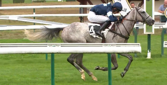 FRANCIA. Uno due Francois Nicolle nel Prix The Stomp. A Compiégne vince il grigio Galopin de Balme interpretato da Theo Chevillard, battuta la compagna di allenamento Kolina Has protagonista di un ottimo rientro, delude il gravato Feu Follet