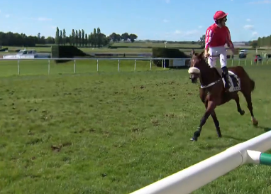 FRANCIA. Gardons Le Sourire domina il Grand Steeple Chase Du Conseil Departemental de la Mayenne. A Craon l’allievo di Gabriel Leenders interpretato da Clement Lefebvre, vince con perfetto coast to coast lasciando al secondo posto Fantastic Sivola