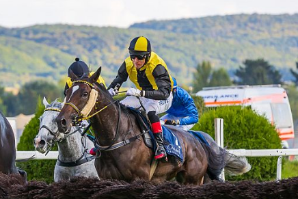 REPUBBLICA CECA. Sternkranz e Capivari dominano per il terzo anno consecutivo la tradizionale Golden Cup. A Praga il duo di Josef Aichner e Pepi Vana lascia ad ampio distacco lo spauracchio Stuke, in sella al vincitore torna al successo Josef Bartos