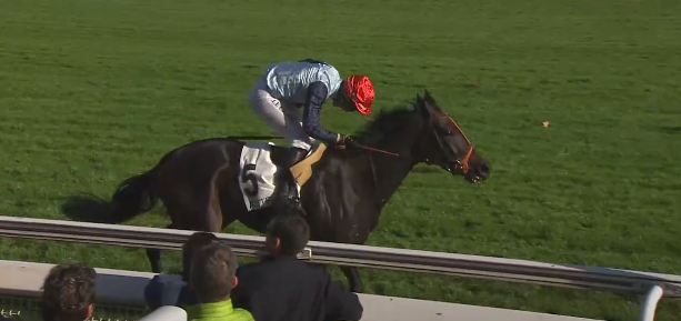 FRANCIA. Splendida di esibizione di Angela Du Berlais nel Prix Magné. L’allieva di David Cottin interpretata da Baptiste Le Clerc, si toglie la qualifica di maiden nel Gr3 di Auteuil e guarda con fiducia al prossimo Cambacérès. Gran triplo di Davide Satalia