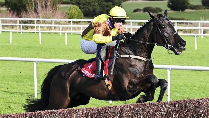 IRLANDA. Road to Cheltenham. Willie Mullins considera Galopin Des Champs come prospetto da Gold Cup, il champion trainer irlandese nutre grande fiducia nell’ex novizio nonostante non abbia mai coperto la distanza; Allaho potrebbe andare nuovamente alla Ryanair Chase