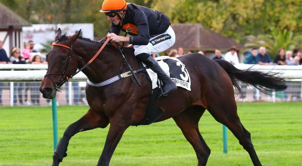 FRANCIA. Gran Diose splendido nel Grand Steeple Chase de Compiègne. Perfettamente gestito da James Reveley, l’allievo di Louisa Carberry cancella la delusione de la Gascogne, imponendosi chiaramente su Grandeur Nature e il favorito Feu Follet