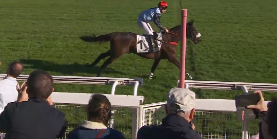 FRANCIA. Hawai du Berlais rischia ma domina il Prix de Maisons Laffitte. Ad Auteuil la femmina targata Chaillé Chaillé interpretata da Pierre Dubourg, guarda con fiducia al clou della stagione del Renaud Du Vivier. Al secondo posto il cresciuto Imperial Mag avanti a Ine D’Anjou