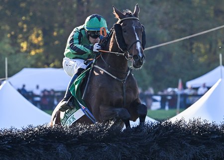 USA. L’irlandese Hewick conquista l’American Grand National Stakes di Gr1. L’allievo di Shark Hanlon sotto la gestione di Jordan Gainford, domina la corsa a Far Hills staccando nettamente nell’ultimo tratto di gara