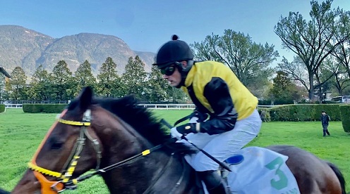 ITALIA. La domenica di Merano ancora a tinte giallo nere. Tre su quattro per i colori di Josef Aichner, doppio Bartos con il tre anni Loudovico che lascia una traccia interessante per il futuro, idem Rajani nella maiden per gli anziani. Successo meritato di Dalton nella periziata, Kaphajr a tavolino