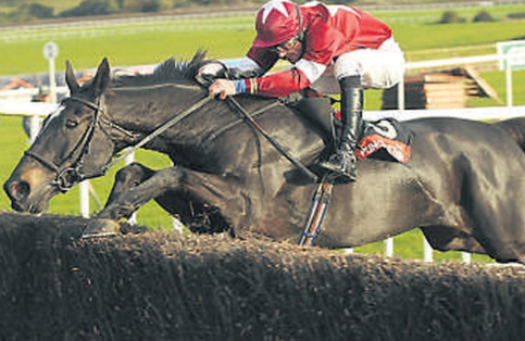 IRLANDA. Si è spento il campione War Of Attrition, il vincitore della Gold Cup di Cheltenham 2004. Allenato da Mouse Morris, il figlio di Presenting ha dato il via all’operazione Giggistown; Eddy O’Leary “Mancherà moltissimo a tutti”