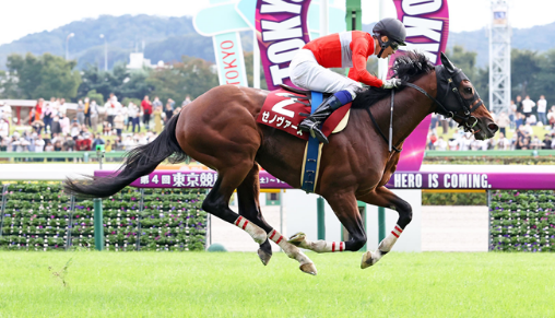 GIAPPONE. Xenoverse conferma la propria crescita. L’allievo di Shinya Kobayashi vince in bello stile il Tokyo High Jump e guarda al grande appuntamento del Nakayama Daishogai del 26 Dicembre. Interpretato da Kazuma Mori, il figlio di Deep Impact ha battuto il favorito Hokko Mevius; rientro tranquillo per il campionissimo Oju Chosan