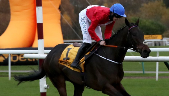 INGHILTERRA. Sabato 19 Novembre la Betfair Chase, primo grade one della stagione inglese, corsa dove è previsto il rientro del vincitore della Gold Cup di Cheltenham A Plus Tard. Protektorat, Bristol de Mai, Royale Pagaille e Frodon restano in lista d’attesa