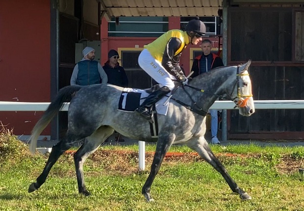 ITALIA. Ramuntcho domina la Prova D’Assaggio sullo steeple chase, Neni de Zara il prossimo obbiettivo passando dalla Francia. Doppio Aichner Vana grazie a Beau Saonois nella condizionata per anziani sulle siepi: il tre anni Berkshire Phoenix vince con merito la periziata