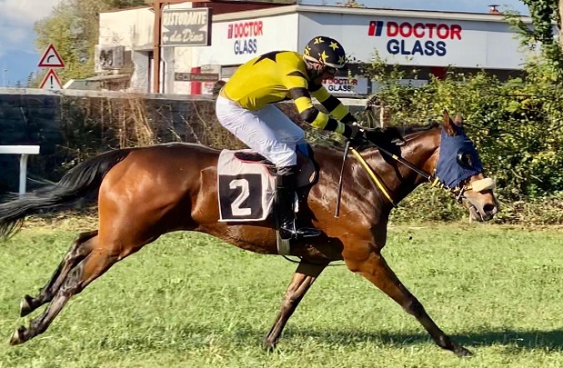 ITALIA. Giovedì a Pisa l’Armando Carangio sullo steeple chase, dove Bilbo D’Assault dovrà opporsi a due avversari di livello come Quinze de La Rose e Beau Saonois. Nella maiden esame Verso Il Sud; tutti contro il giallo nero Wopart nella periziata sulle siepi