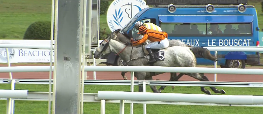 FRANCIA. Calnutz stoico. L’allievo di Philippe e Camille Peltier interpretato da Geoffrey Ré, vince all’ultimo respiro il Grand Steeple Chase de Bordeaux, battendo sul filo di lana Funway. Per il figlio di Balko si tratta dell’undicesima vittoria in ventinove gare