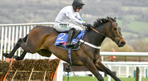 INGHILTERRA. Nicky Henderson, assente a Cheltenham per ordini del medico, si prepara ad una settimana molto intensa. L’allenatore di Seven Barrows sarà a Warwick mercoledì per il debutto in chase di Jonbon; sabato nella due giorni di Ascot, attesissimo il rientro di Constitution Hill nella Coral Hurdle di Gr2