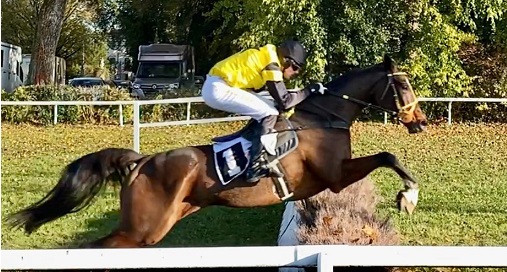 ITALIA. Tornano gli ostacoli a Treviso. Venerdì due le prove, nella maiden i quattro anni in pista con la coppia di Paolo Favero Na Scoitear e Island King vs la ceca Cheverney. Nella reclamare anziani in pista con il rientrante Igor