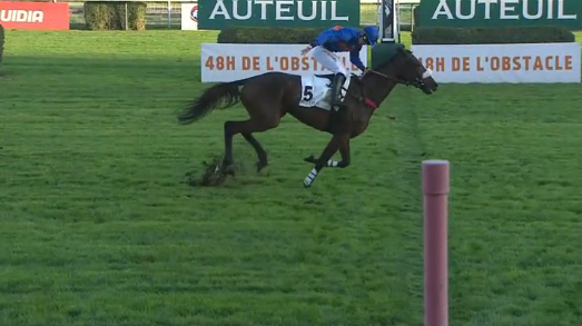 FRANCIA. Auteuil, Theleme superlativo nel Grand Prix D’Automne. L’allievo di Arnaud Chaillé Chaillé intepretato da Pierre Dubourg, domina la scena battendo Hermes Baie e L’Autonomie. Juntus Ganamos ok fra le femmine del Bournosienne, Garde De Burge sorprende nel Congress, solo sesto Jerenviedrai per Davide Satalia