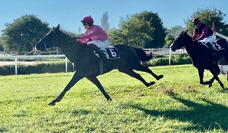 ITALIA. En plein Paolo Favero nel clou d’apertura a Treviso riservato ai giovani saltatori. L’importato Teddy’s Profit interpretato da Ivan Cherchi, batte il compagno War Brave nel Premio Campea. Bilbo e Raffaele Romano protagonisti sullo steeple, Volunteers e Bartos ok al rientro nella reclamare