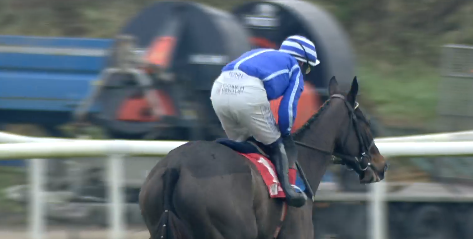 IRLANDA. A Cork lavoro pubblico al rientro per il campione di Willie Mullins Energumene nella Hill Way Chase di Gr2. Impervious per Colm Murphy ok fra le mares novice, ottima impressione di Hiddenvalley Lake, colori Robocur, fra gli stayers novice sulle tre miglia