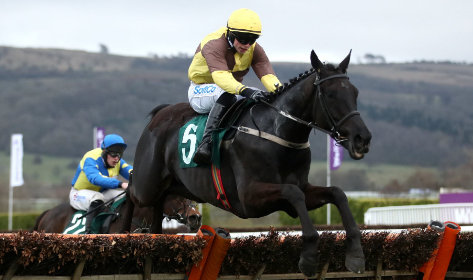 IRLANDA. Domenica a Punchestown grande appuntamento con il John Durkan Memorial Steeple Chase di Gr1, dove è atteso il rientro di Galopin Des Champs per Willie Mullins. In lista anche i compagni Chacun Pour Soi e Blue Lord per Simon Munir, oltre a Fakier D’Oudairies e due di Giggistown