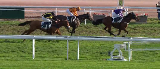 FRANCIA. Natale a Cagnes. Dopo il Taurines, Garkapstar vince anche Prix du Comté de Nice, l’allievo di Serge Foucher punta adesso al Grand Prix dopo aver battuto Berjou e Manon de Sources, ottimo quinto il neo Aichner Suroit, cade il ‘Troger’ Chesnut Dream. Nel resto del programma, bene i gialloneri sarentinesi di Andoins e Costa Rica con due terzi posti