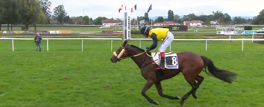 FRANCIA. Settimana calda per Josef Aichner e Pepi Vana. Dopo Merano due impegni di rilievo in Francia, mercoledì Lord Dragon nel Grand Steeple Chase de Nancy, venerdì Brunch Royal sul circuito di Bellerive a Vichy per il Grand Cross Prix Marc Boudot