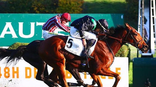 FRANCIA. Domenica a Parigi il Prix Fleuret, seconda tappa di avvicinamento al Ferdinand Dufaure. In pista i reduci dal Duc D’Anjou, con il vincitore Juntos Ganamos, ancora una volta opposto al Nicolle Goliath Du Rheu, quindi Bon Conseil, Winteriscoming, Prince Chop e Jost. Prima volta a Parigi per Jigtsar Star, vincitore del Prix Christian de l’Hermite