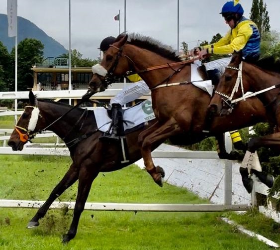 ITALIA. Merano, First Of All monster. L’allievo di Pavel Tuma si conferma soggetto di alto profilo, dominando il Pentecoste sullo steeple grande, battuto L’Estran apparso pigro e lontano dalla sua miglior condizione. Mauricius show nel Chivas Regal contro una strepitosa Velo Dipinto. Dominio polacco nello Scena e Val Martello grazie a Pope (Gabriele Agus) e Burschi affidato da Gaetano Volpe