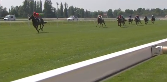 FRANCIA. Manchego e Bertrand Lestrade dominano la Grand Course de Haies de Vichy. L’allievo di Emmanuel Clayeux conferma la precedente vittoria ottenuta a Bellerive, precedendo chiaramente Groom Boy, Ding Ding Dong e Spes Milidino