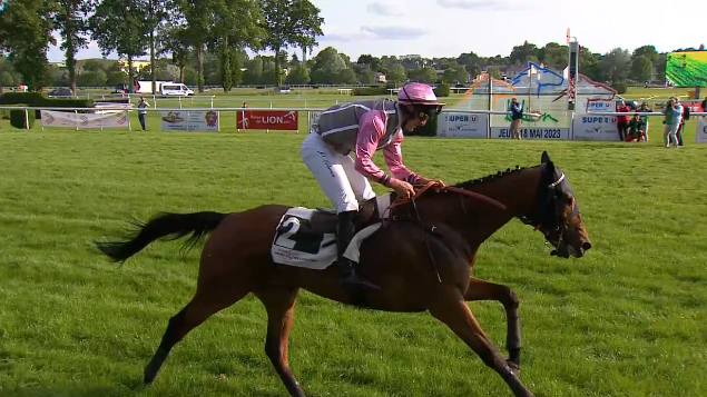 FRANCIA. Shawinigan e  Jean-Stéphane Lebrun vincono il tradizionale France Sire Prix Anjou-Loire Challenge, il grand cross di Le Lion D’Angers, la corsa più lunga al mondo con i suoi 7300 metri. L’allievo di Patrice Quinton ha preceduto Bingo de L’Aunay ed Espoir