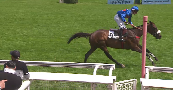 FRANCIA. Theleme e Gaetan Masure trionfano nella Grand Course de Haies de Auteuil. A Parigi il crack allenato da Arnaud Chaillé Chaillé, spazza via i suoi avversari con una prestazione fantastica precedendo la miglior versione di Hermes Baie, terzo l’irlandese Klassical Dream