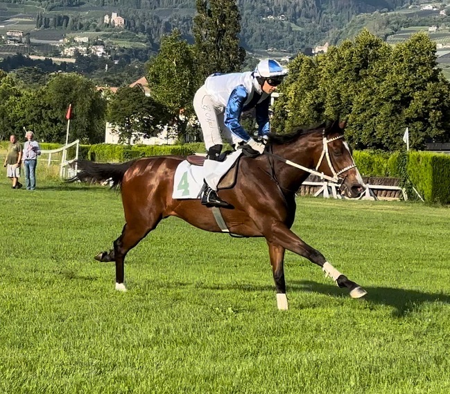 ITALIA. Merano, Domani Risplendi affascinante prospetto, sotto la gestione di Gabriele Agus il figlio di War Command resta imbattuto replicando nella novices. Paolo Favero e Jan Faltejsek firmano il doppio nelle due mini periziate in siepi grazie al quattro anni Ninky Nonk e all’anziano Moved. Andrea Lancini e Prodigieux concedono la replica nel cross country