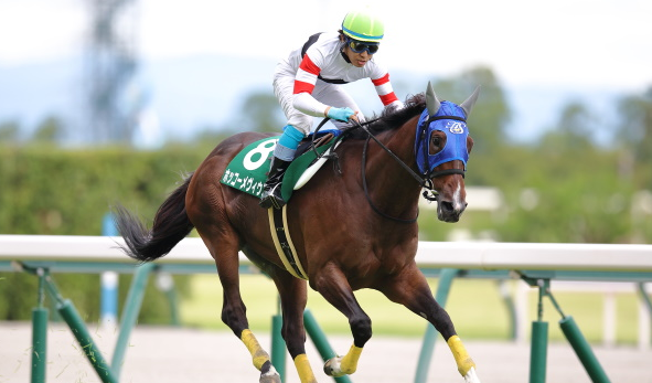 GIAPPONE. L’estate dei salti nipponica parte con il tradizionale Tokyo Jump Stakes di Gr3, prova sulle siepi che potrebbe lanciare un nome nuovo per la specialità guardando al Daishogai. Fra questi il formidabile Hokko Mevious, Lord Aqua e Try For Real in una corsa comunque molto incerta