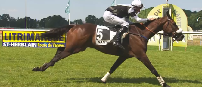 FRANCIA. Idee du Choeur e Valentin Morin dominano la Grand Course de Haies de Nantes. L’allievo di Etienne d’Andigné precede il generoso Irresisitbles, out il rientrante You’re The Boss